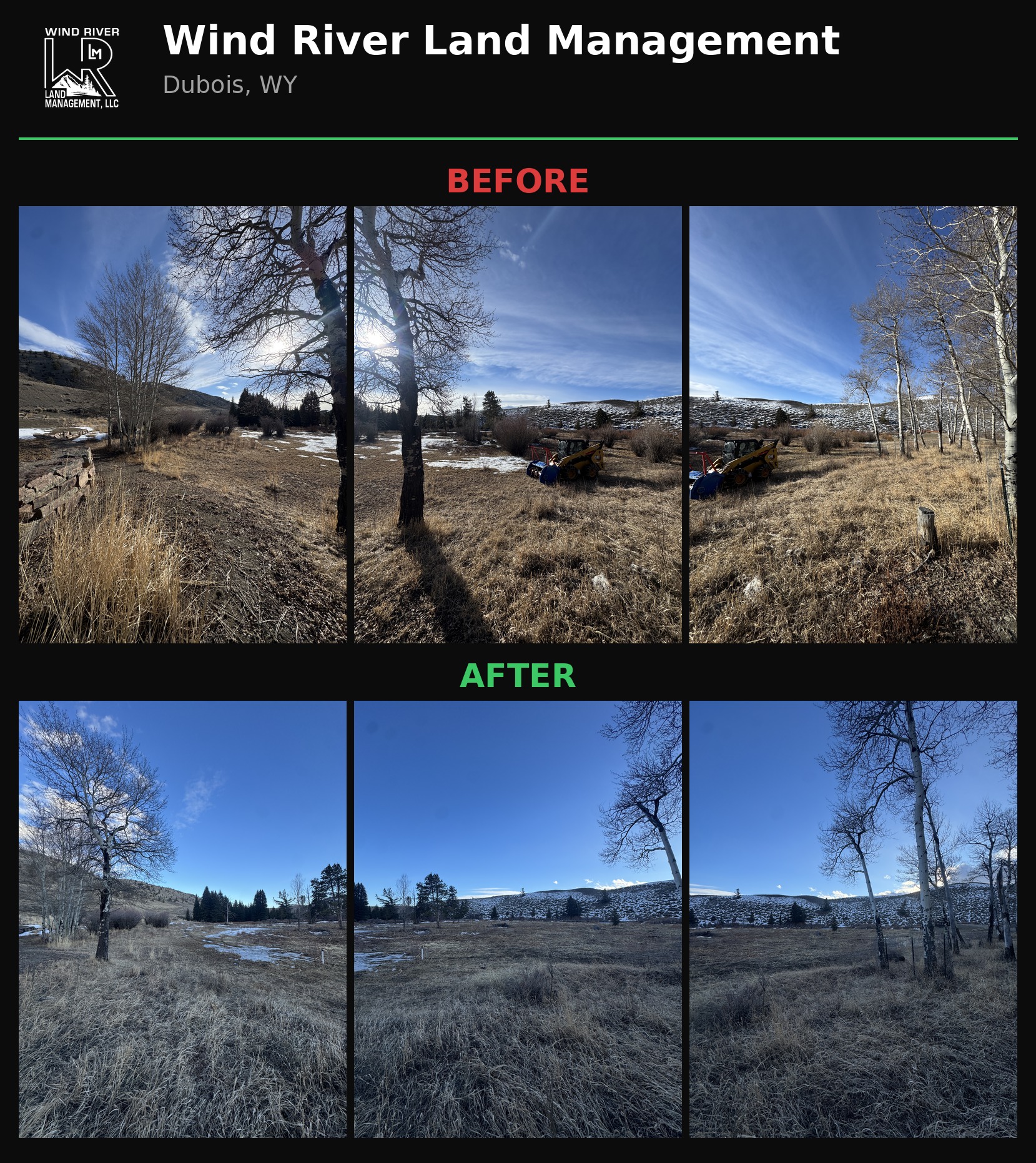Before and after meadow clearing in Dubois, Wyoming